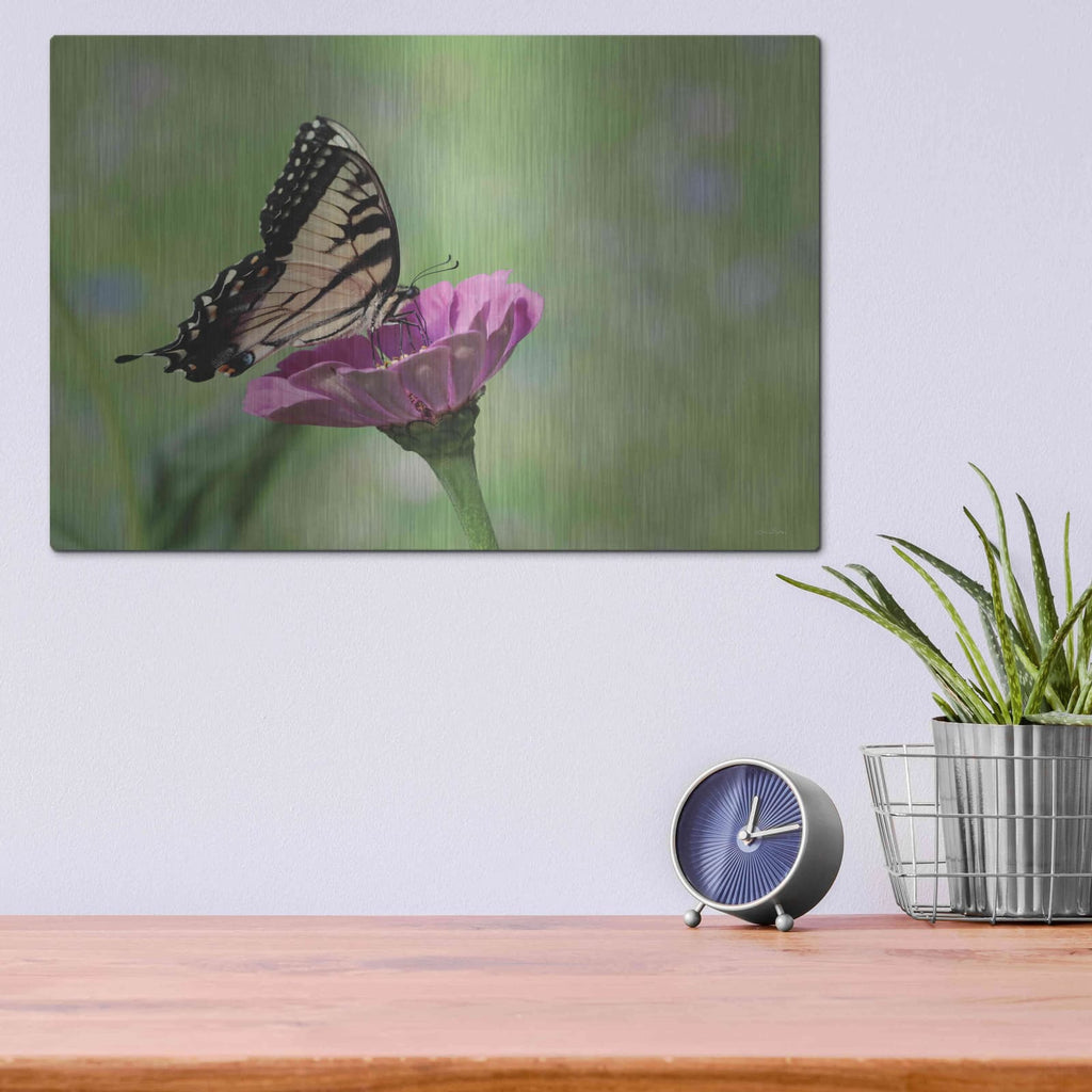 'Butterfly Resting Spot I' by Lori Deiter – Metal Wall Art, 16x12 room view