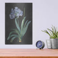 'Bulb Study' by Lettered & Lined – Metal Wall Art, 12x16 room view