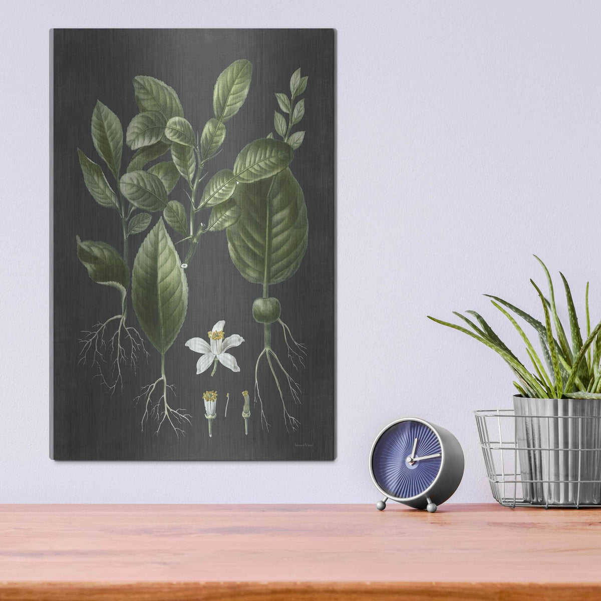 'Citrus Botanical' by Lettered & Lined – Metal Wall Art, 12x16 room view
