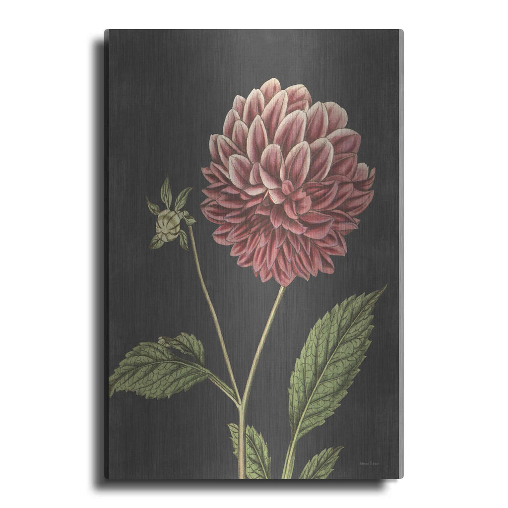 'Dahlia' by Lettered & Lined – Metal Wall Art