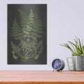 'Fern Study' by Lettered & Lined – Metal Wall Art, 12x16 room view
