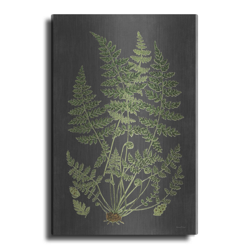 'Fern Study' by Lettered & Lined – Metal Wall Art