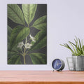 'Grand Leaves' by Lettered & Lined – Metal Wall Art, 12x16 room view