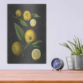 'Lemon Citrus' by Lettered & Lined – Metal Wall Art, 12x16 room view