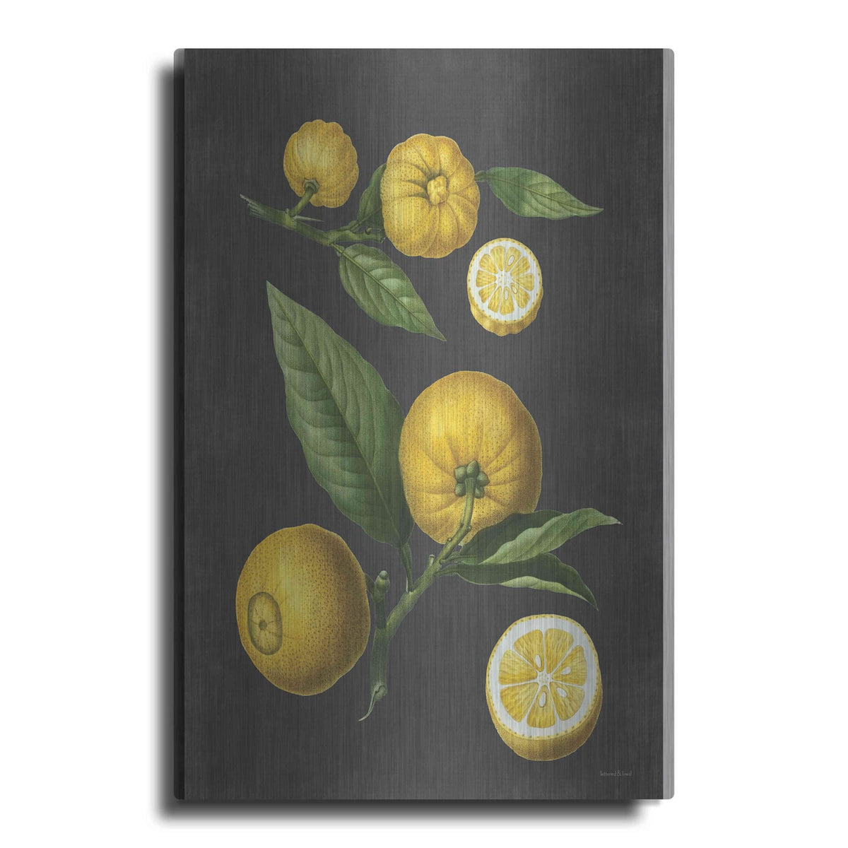 'Lemon Citrus' by Lettered & Lined – Metal Wall Art