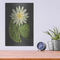 'Lily' by Lettered & Lined – Metal Wall Art, 12x16 room view