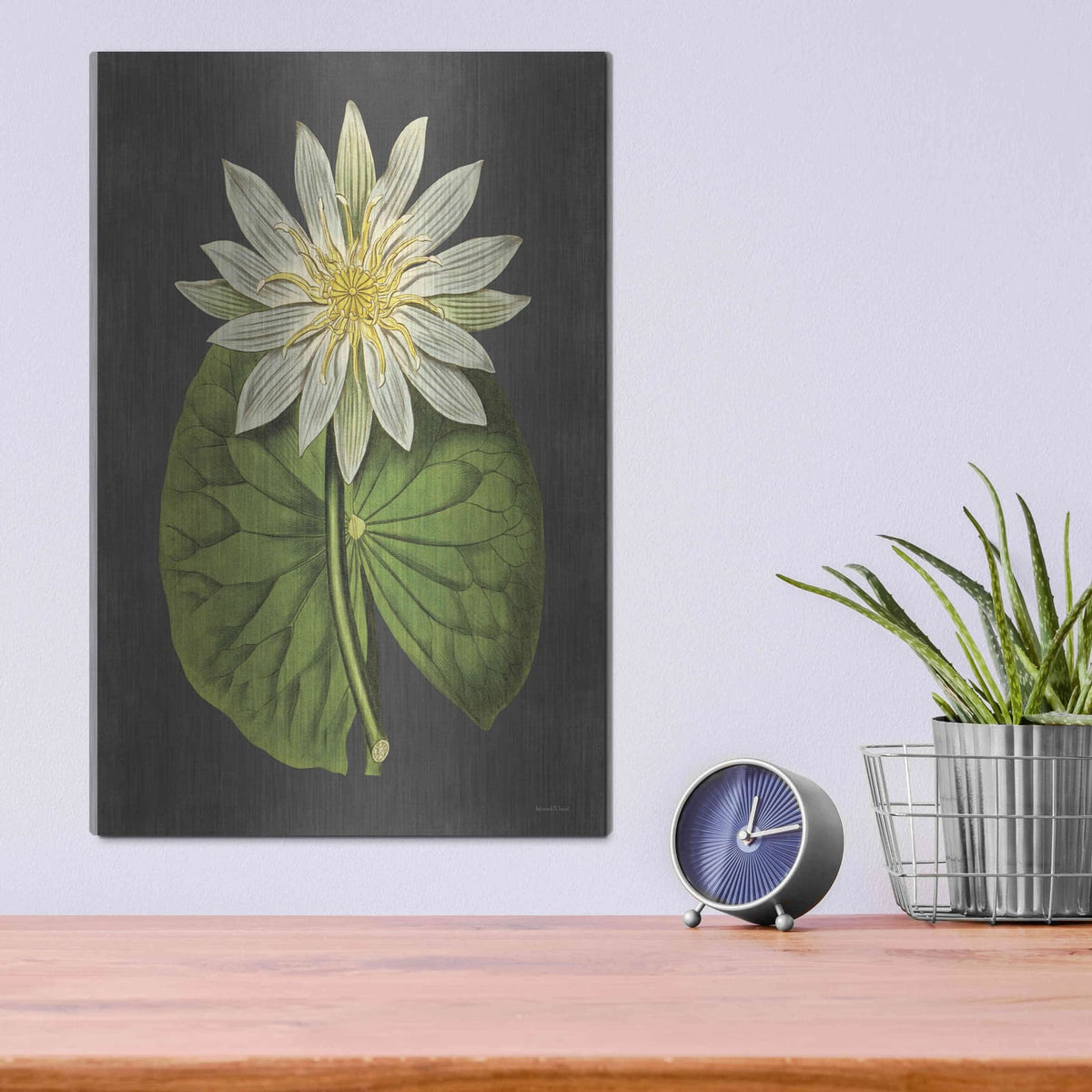 'Lily' by Lettered & Lined – Metal Wall Art, 12x16 room view