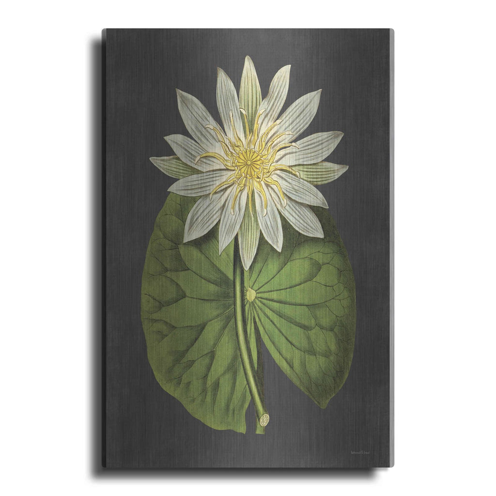 'Lily' by Lettered & Lined – Metal Wall Art