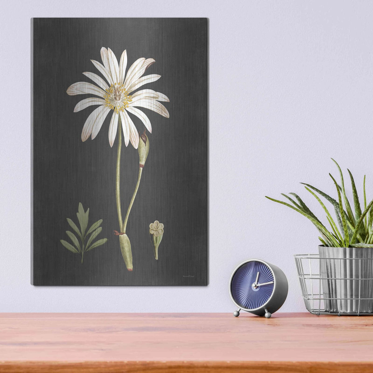 'Naturalist Bloom Study' by Lettered & Lined – Metal Wall Art, 12x16 room view