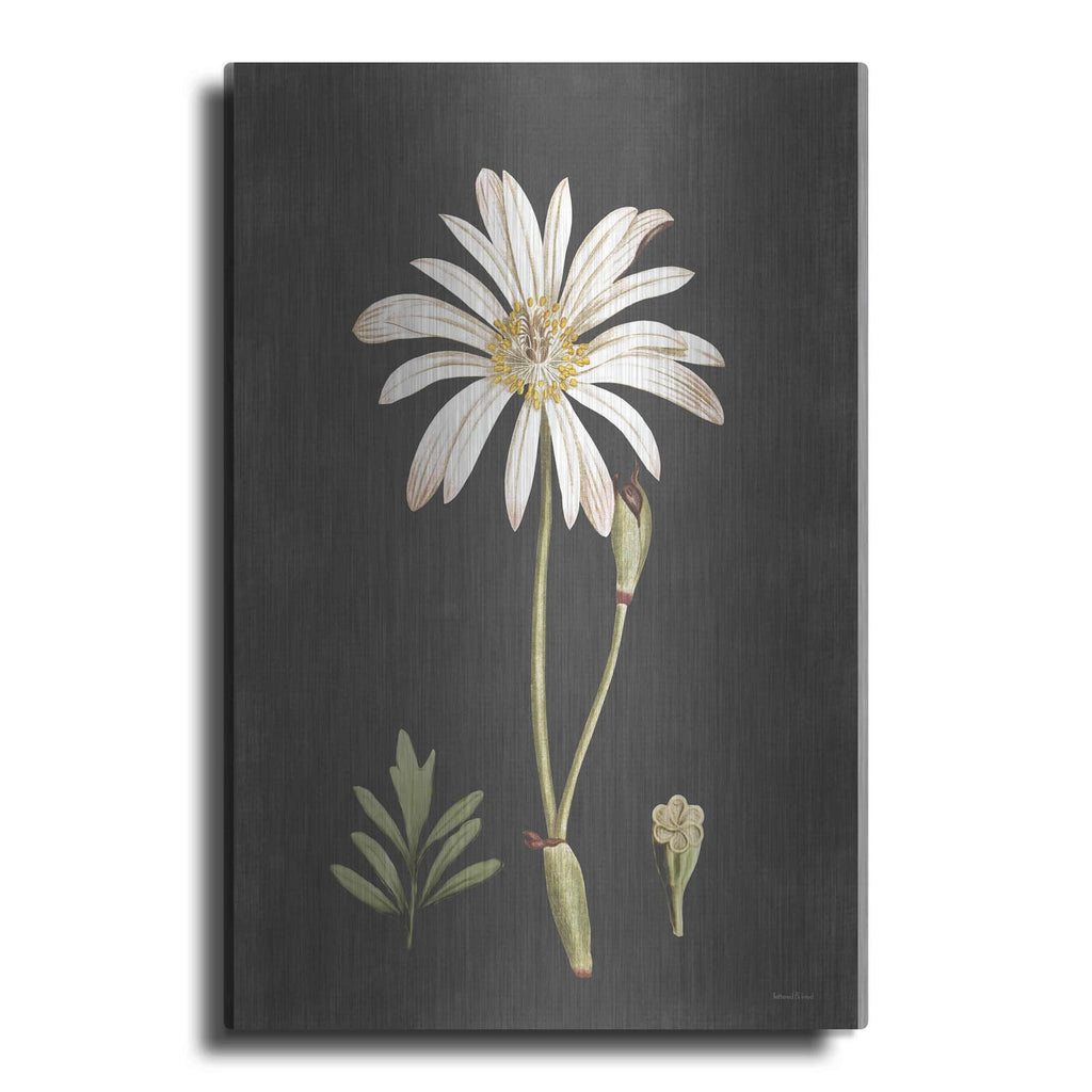 'Naturalist Bloom Study' by Lettered & Lined – Metal Wall Art