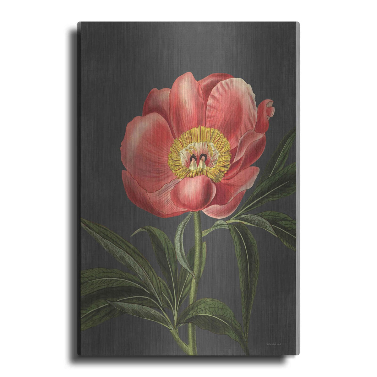 'Peony' by Lettered & Lined – Metal Wall Art