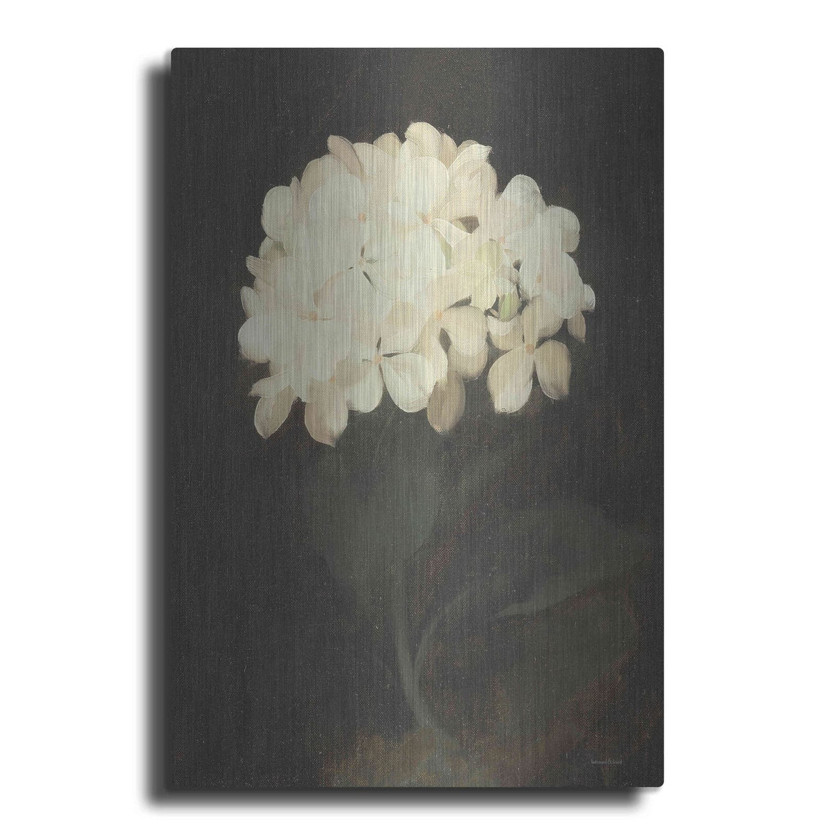 'Vintage White Hydrangea' by Lettered & Lined – Metal Wall Art