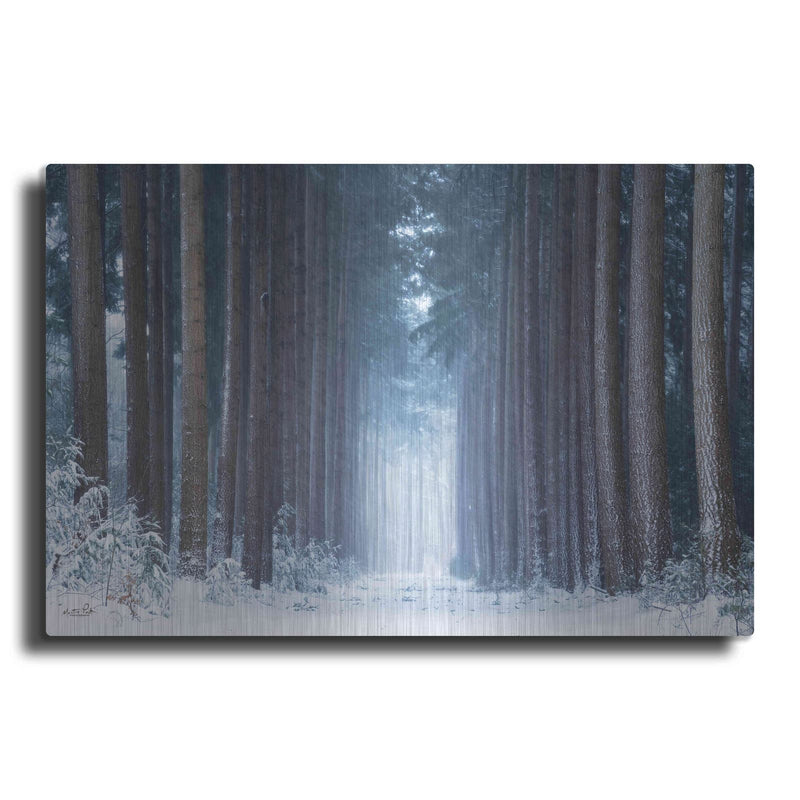 'Polar Winter' by Martin Podt – Metal Wall Art