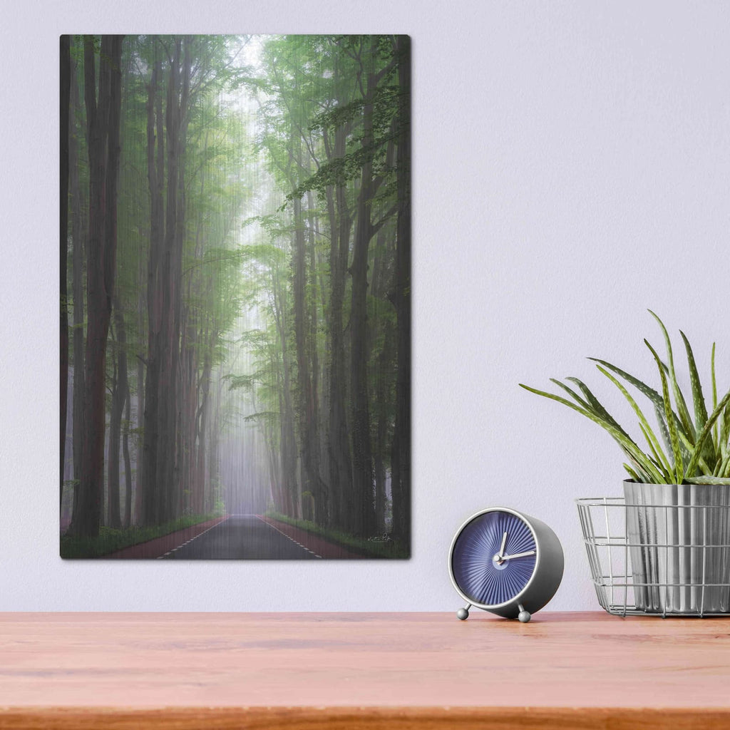 'Foggy Road' by Martin Podt – Metal Wall Art, 12x16 room view