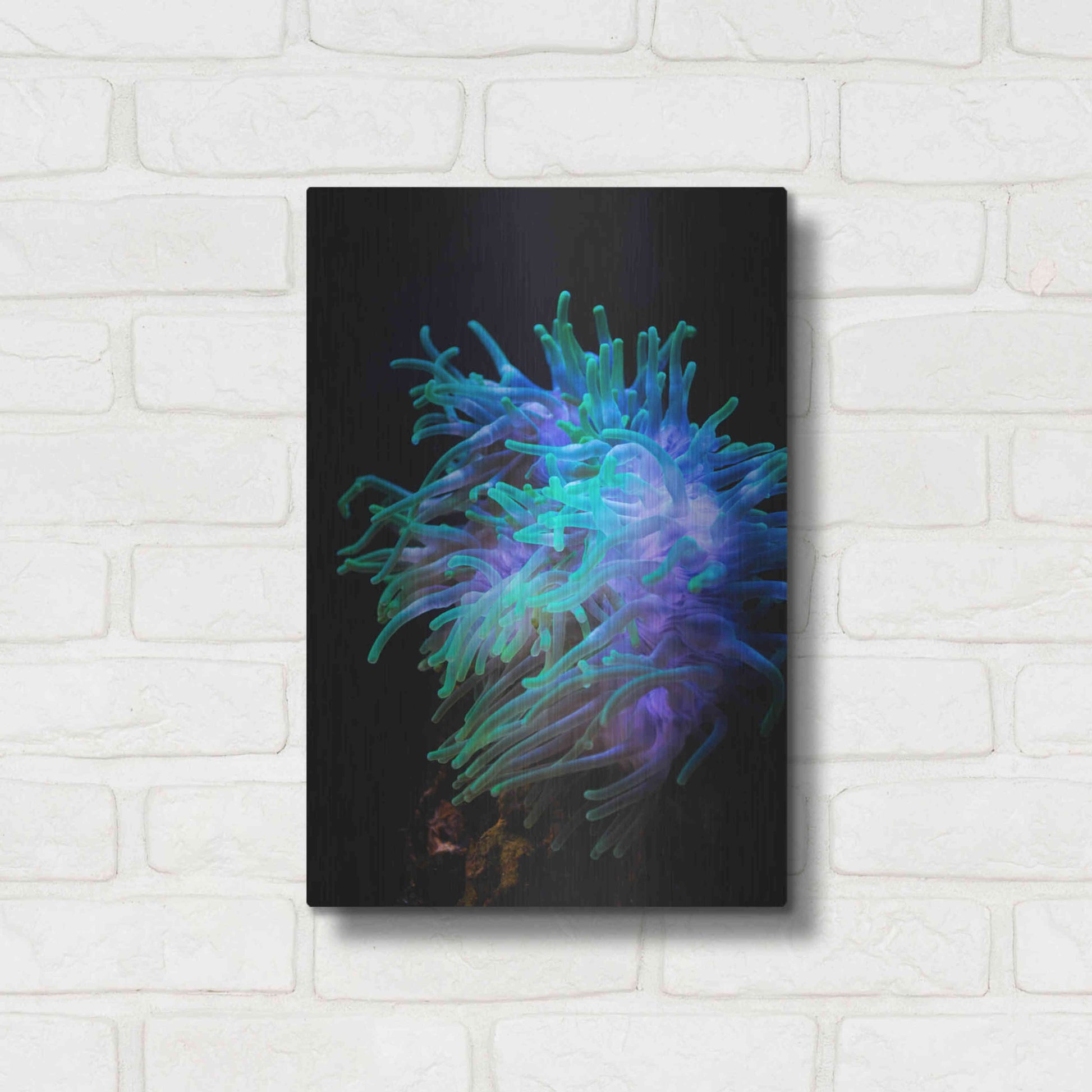 Luxe Metal Art 'Actinia' by Epic Portfolio Metal Wall Art,12x16