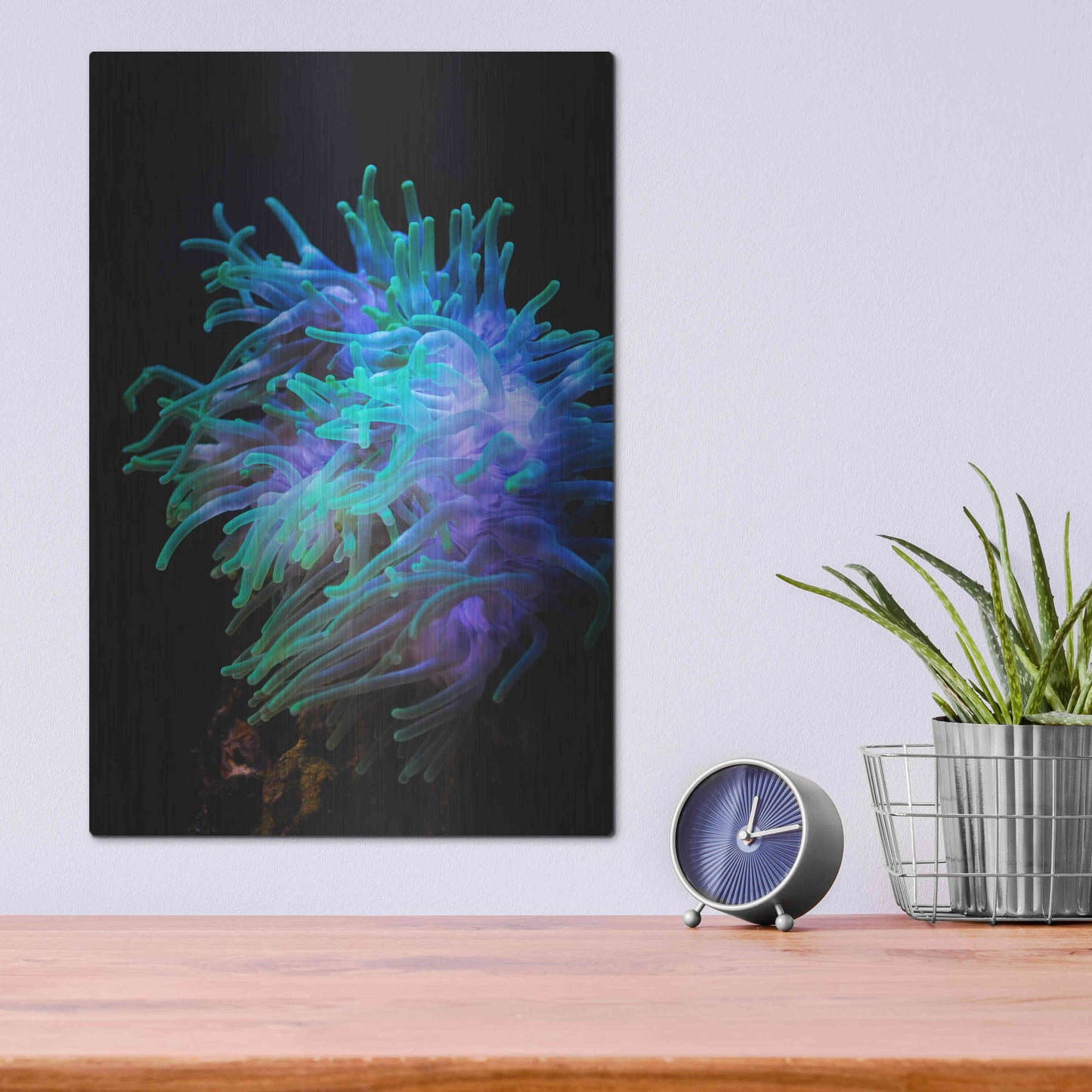 Luxe Metal Art 'Actinia' by Epic Portfolio Metal Wall Art,12x16