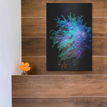 Luxe Metal Art 'Actinia' by Epic Portfolio Metal Wall Art,12x16