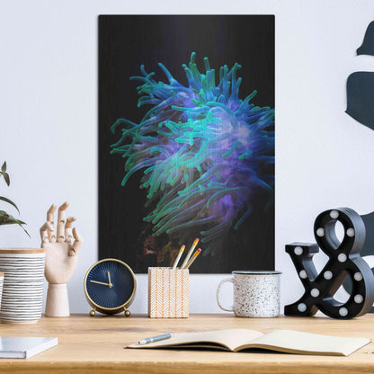 Luxe Metal Art 'Actinia' by Epic Portfolio Metal Wall Art,12x16