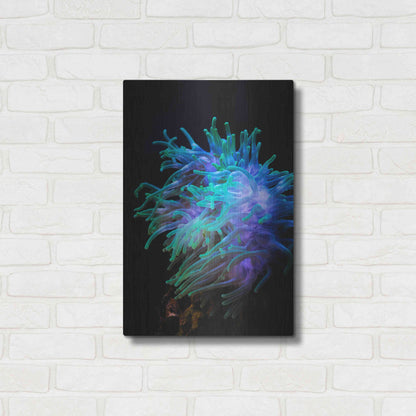 Luxe Metal Art 'Actinia' by Epic Portfolio Metal Wall Art,16x24