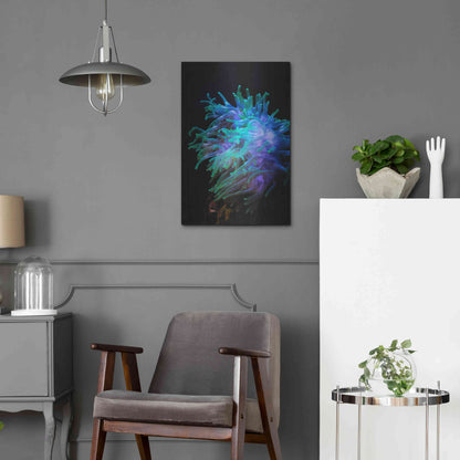 Luxe Metal Art 'Actinia' by Epic Portfolio Metal Wall Art,16x24