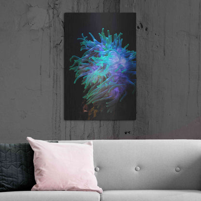 Luxe Metal Art 'Actinia' by Epic Portfolio Metal Wall Art,24x36