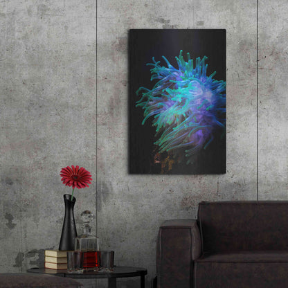 Luxe Metal Art 'Actinia' by Epic Portfolio Metal Wall Art,24x36