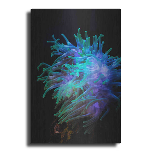Luxe Metal Art 'Actinia' by Epic Portfolio Metal Wall Art