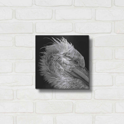 Luxe Metal Art 'Bad Hairday' by Epic Portfolio Metal Wall Art,12x12