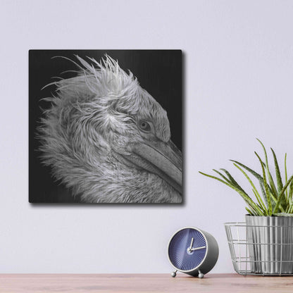Luxe Metal Art 'Bad Hairday' by Epic Portfolio Metal Wall Art,12x12