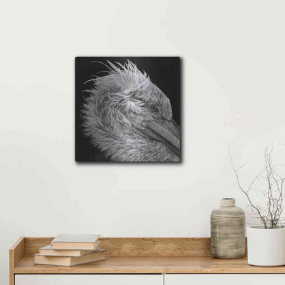 Luxe Metal Art 'Bad Hairday' by Epic Portfolio Metal Wall Art,12x12