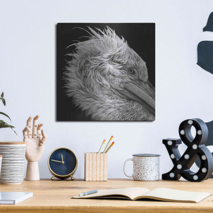 Luxe Metal Art 'Bad Hairday' by Epic Portfolio Metal Wall Art,12x12