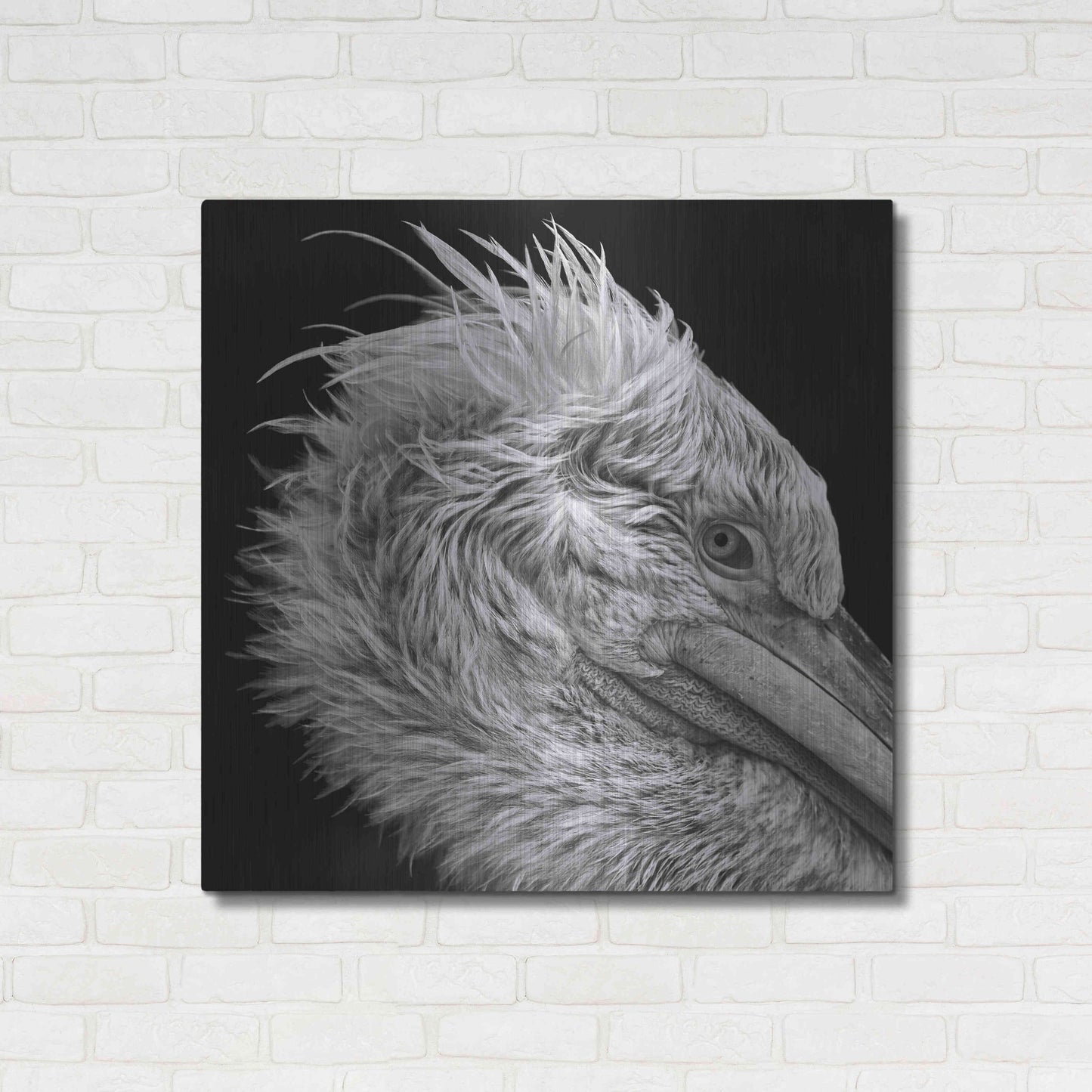 Luxe Metal Art 'Bad Hairday' by Epic Portfolio Metal Wall Art,36x36