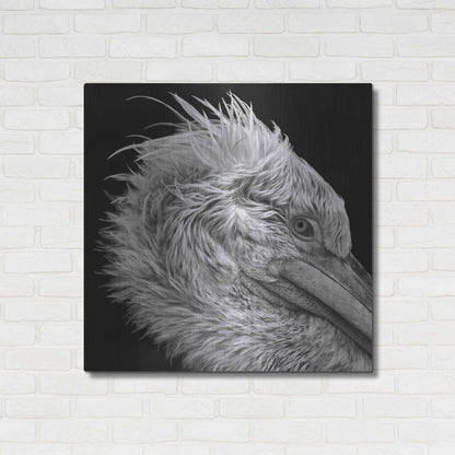 Luxe Metal Art 'Bad Hairday' by Epic Portfolio Metal Wall Art,36x36