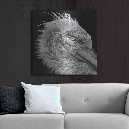 Luxe Metal Art 'Bad Hairday' by Epic Portfolio Metal Wall Art,36x36