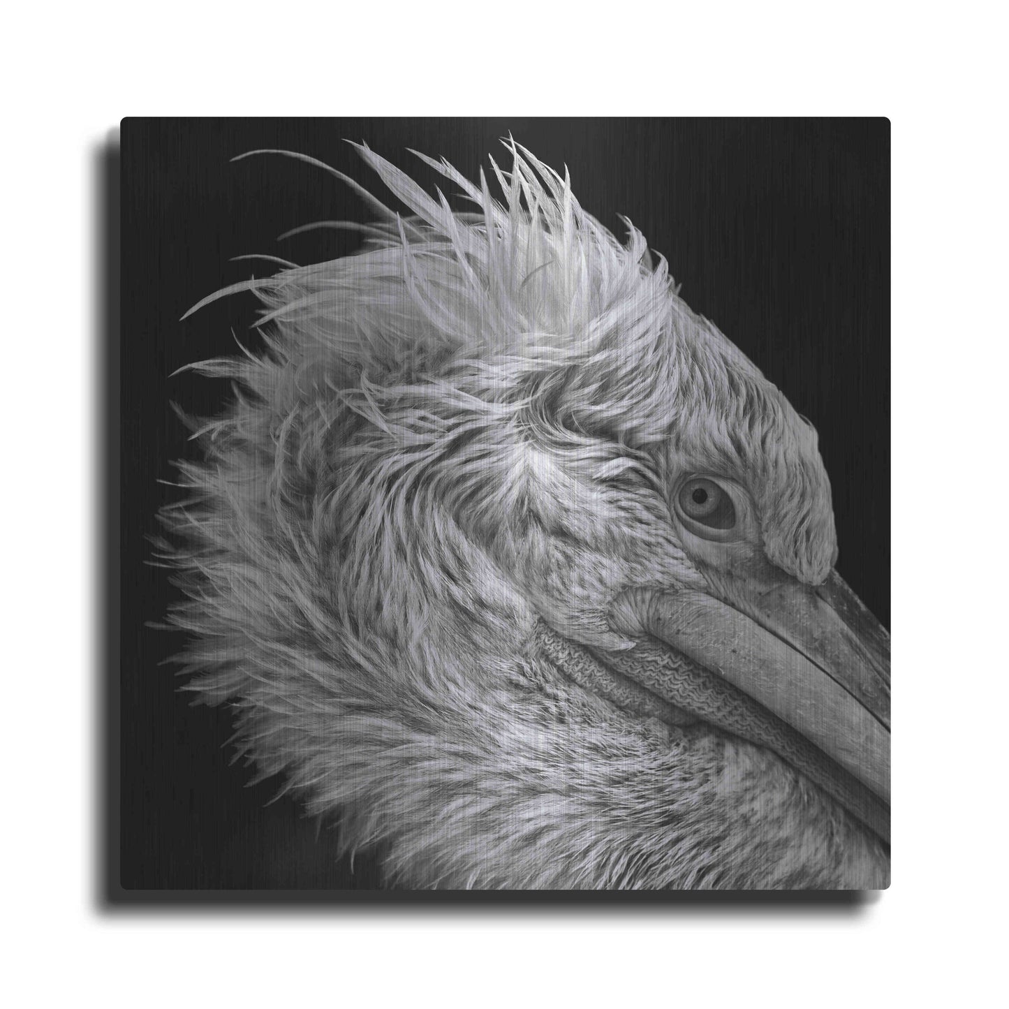 Luxe Metal Art 'Bad Hairday' by Epic Portfolio Metal Wall Art