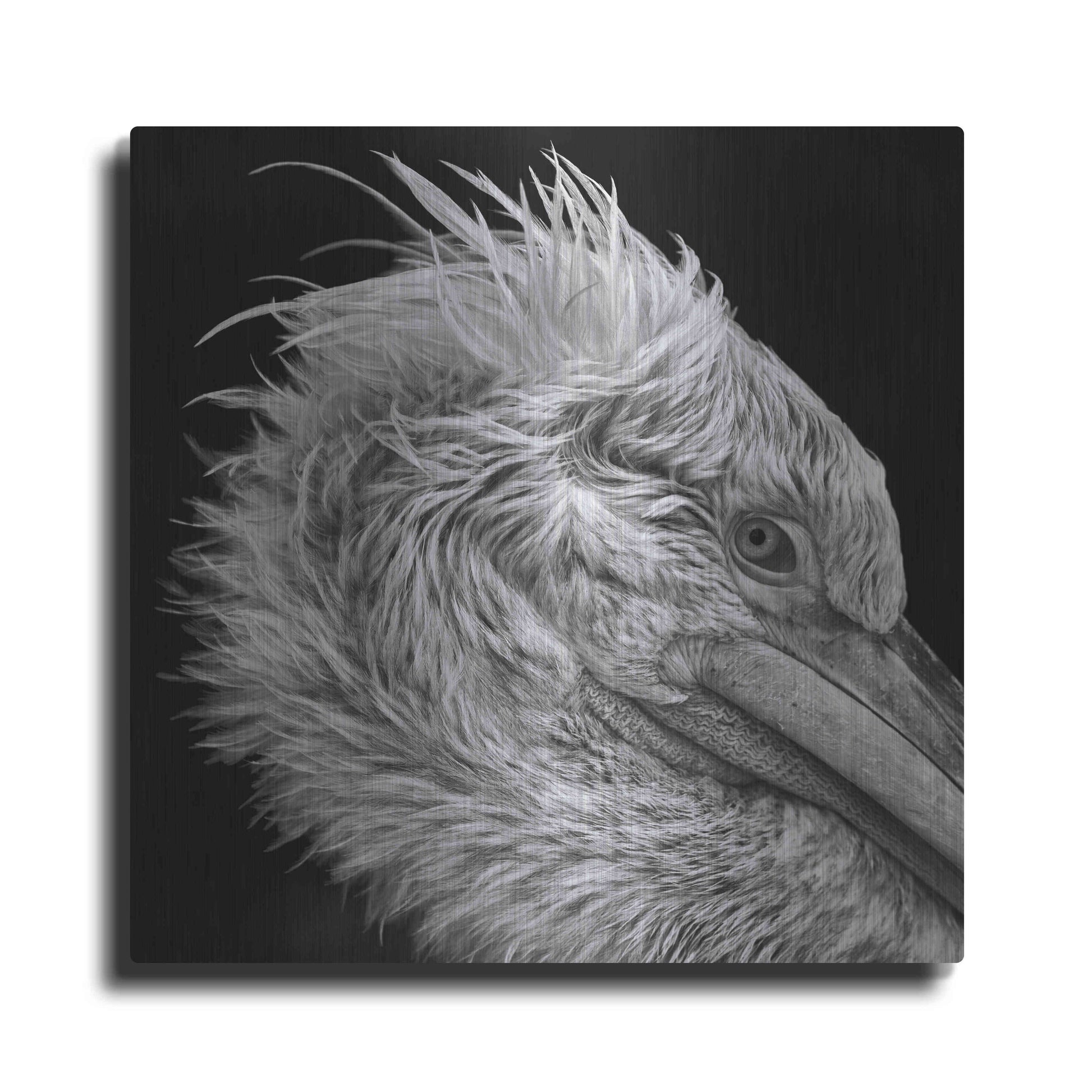 Luxe Metal Art 'Bad Hairday' by Epic Portfolio Metal Wall Art