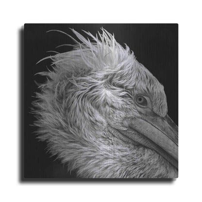 Luxe Metal Art 'Bad Hairday' by Epic Portfolio Metal Wall Art