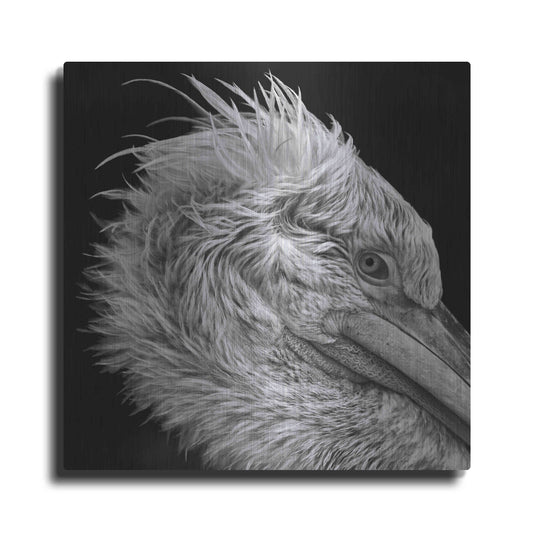 Luxe Metal Art 'Bad Hairday' by Epic Portfolio Metal Wall Art