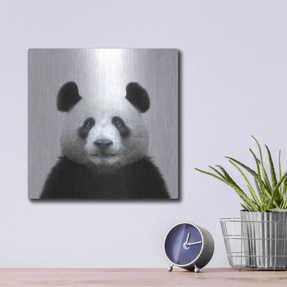 Luxe Metal Art 'Bamboo Bear' by Epic Portfolio Metal Wall Art,12x12