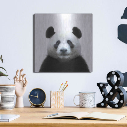 Luxe Metal Art 'Bamboo Bear' by Epic Portfolio Metal Wall Art,12x12