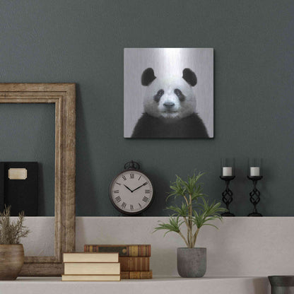 Luxe Metal Art 'Bamboo Bear' by Epic Portfolio Metal Wall Art,12x12
