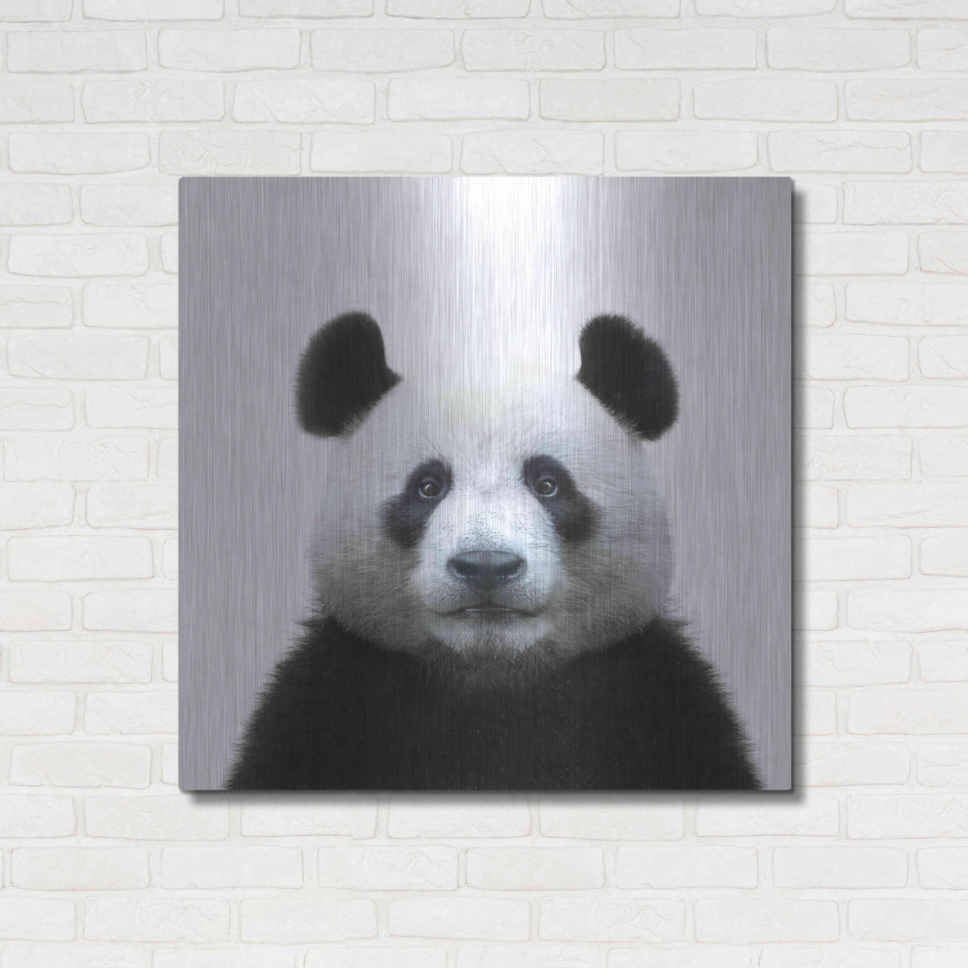 Luxe Metal Art 'Bamboo Bear' by Epic Portfolio Metal Wall Art,36x36