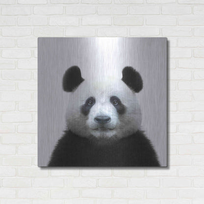 Luxe Metal Art 'Bamboo Bear' by Epic Portfolio Metal Wall Art,36x36