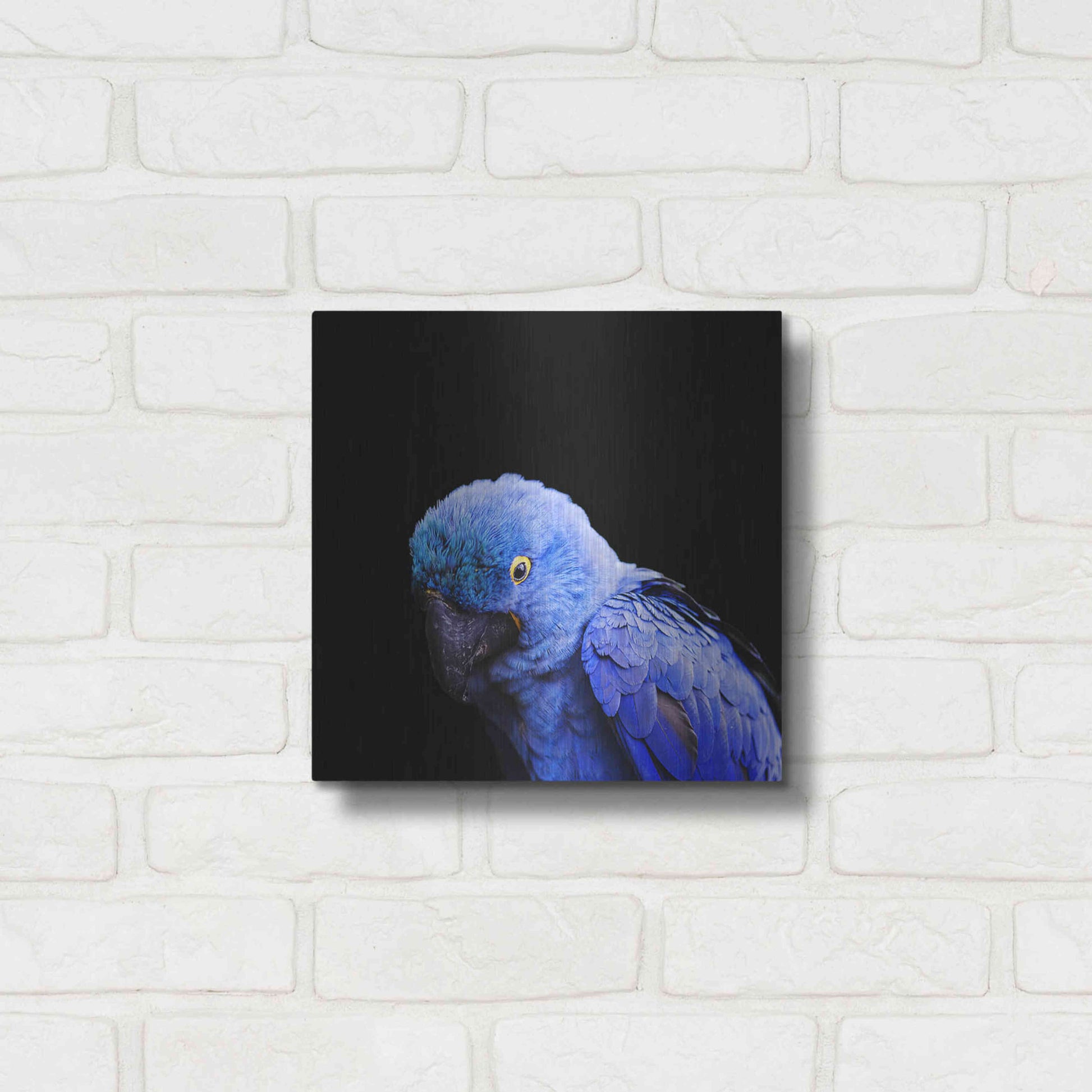 Luxe Metal Art 'Blue Quill' by Epic Portfolio Metal Wall Art,12x12