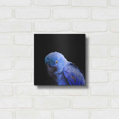 Luxe Metal Art 'Blue Quill' by Epic Portfolio Metal Wall Art,12x12