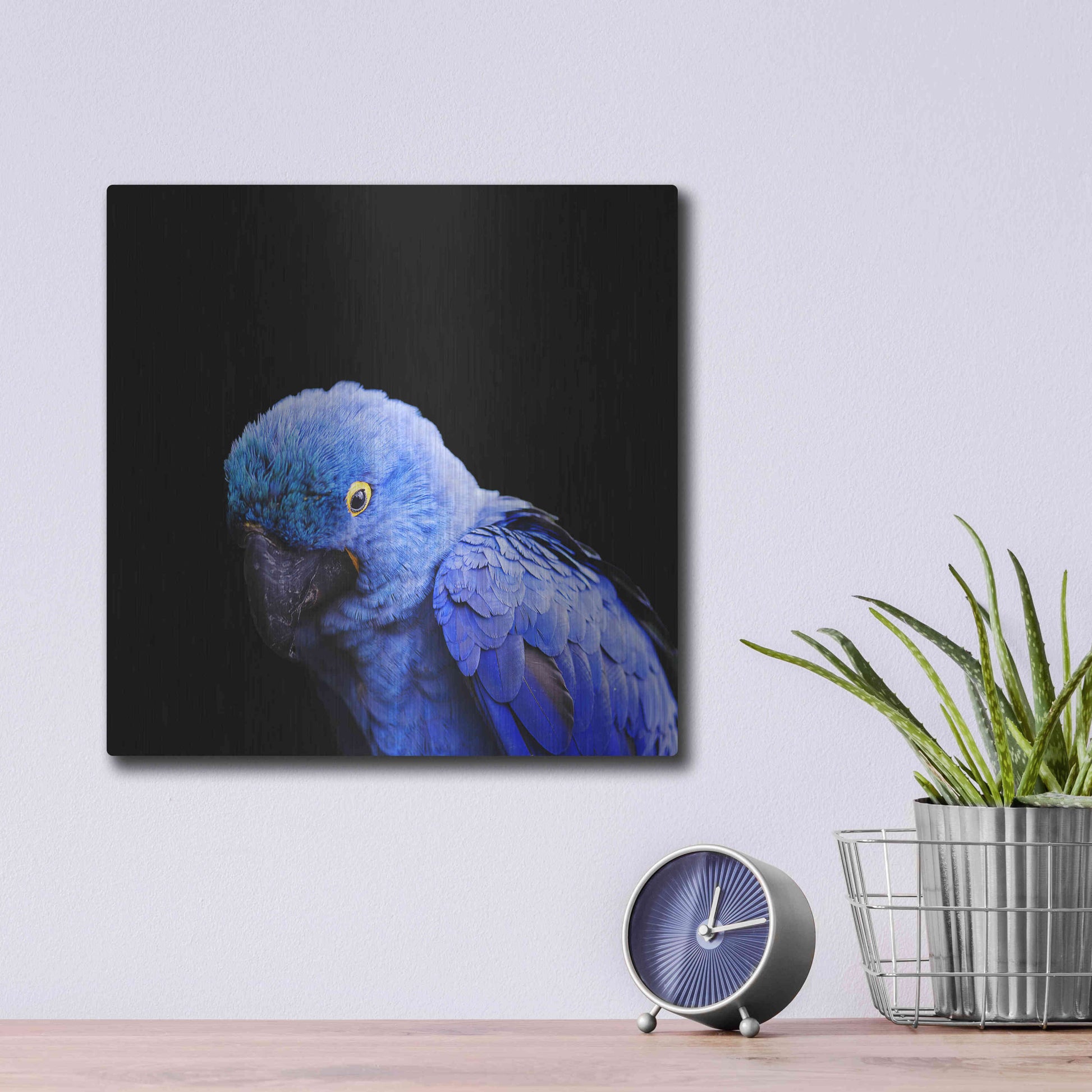 Luxe Metal Art 'Blue Quill' by Epic Portfolio Metal Wall Art,12x12