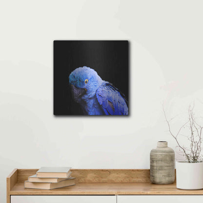 Luxe Metal Art 'Blue Quill' by Epic Portfolio Metal Wall Art,12x12