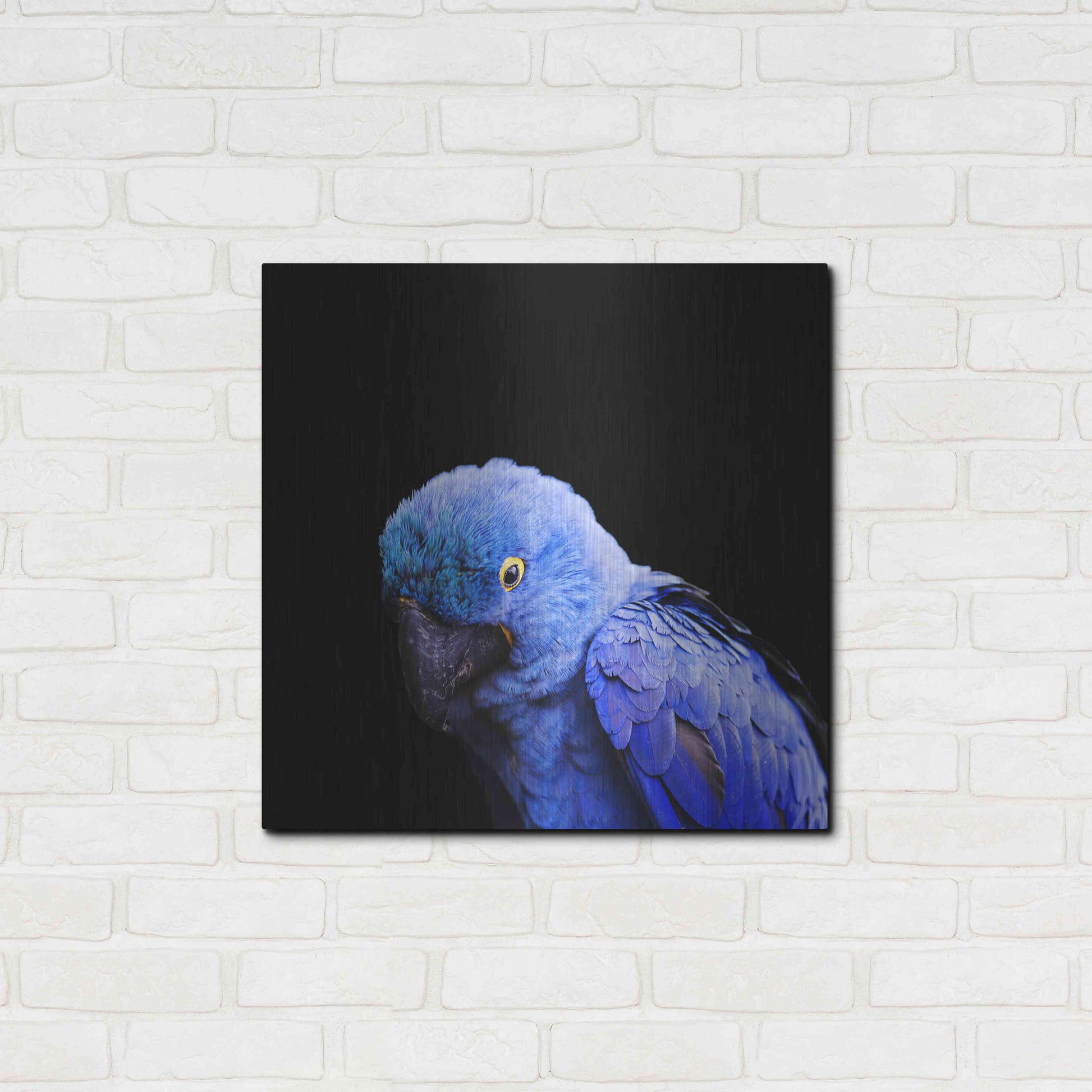 Luxe Metal Art 'Blue Quill' by Epic Portfolio Metal Wall Art,24x24