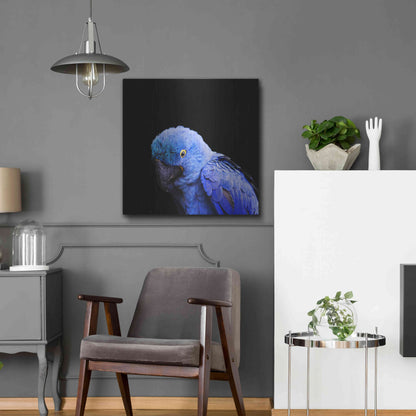 Luxe Metal Art 'Blue Quill' by Epic Portfolio Metal Wall Art,24x24