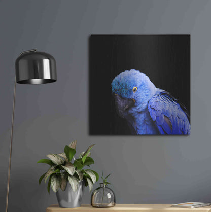 Luxe Metal Art 'Blue Quill' by Epic Portfolio Metal Wall Art,24x24